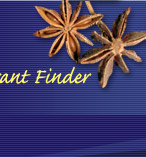 Restaurant Finder