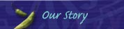 Our Story